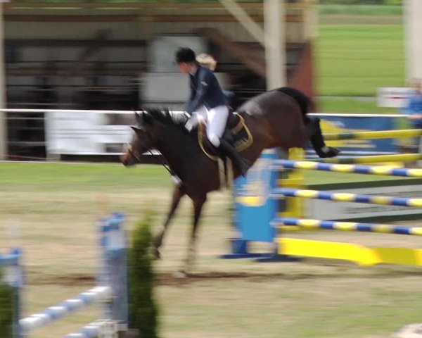 Reitturnier Schwanebeck 2019