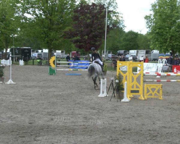 Reitturnier Ahlen 2019