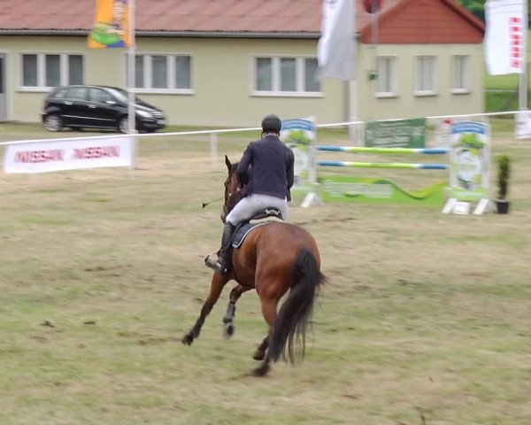 Reitturnier Schwanebeck 2019