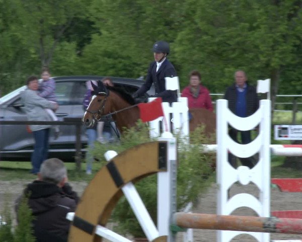 Reitturnier Ahlen 2019