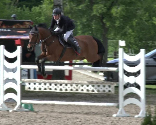 Reitturnier Ahlen 2019