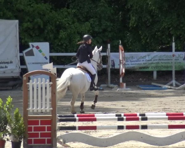 Reitturnier Köln-Seeberg 2019