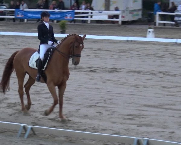 Reitturnier Köln-Seeberg 2019
