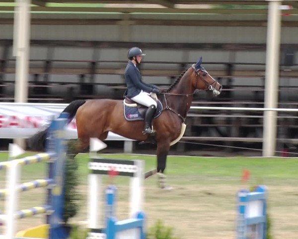 Reitturnier Schwanebeck 2019