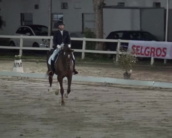 Reitturnier Köln-Seeberg 2019
