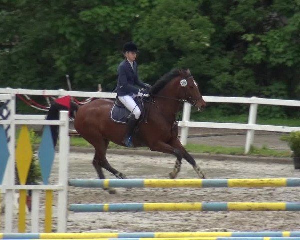 Reitturnier Köln-Seeberg 2019