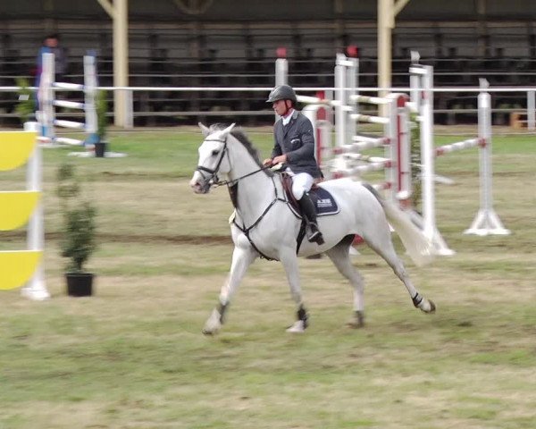 Reitturnier Schwanebeck 2019