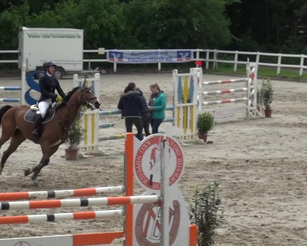 Reitturnier Köln-Seeberg 2019