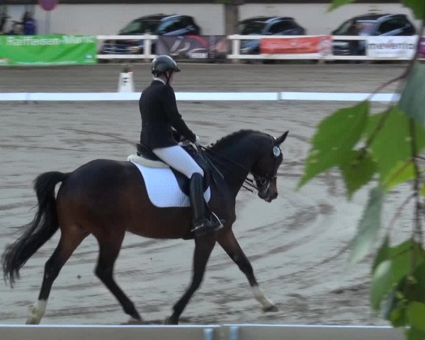 Reitturnier Köln-Seeberg 2019