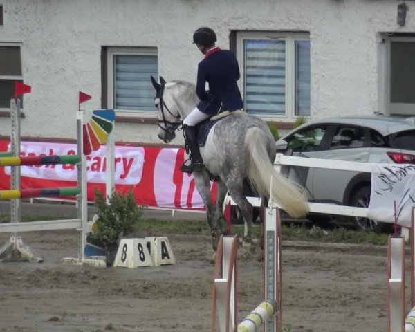 Reitturnier Köln-Seeberg 2019
