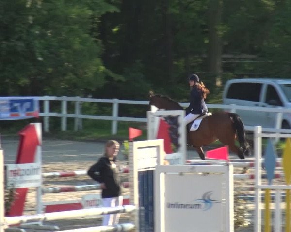 Reitturnier Köln-Seeberg 2019