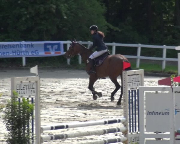 Reitturnier Köln-Seeberg 2019
