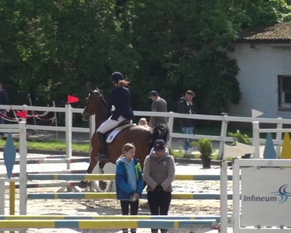 Reitturnier Köln-Seeberg 2019
