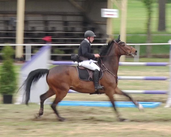 Reitturnier Schwanebeck 2019