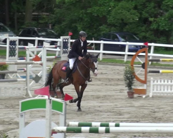 Reitturnier Köln-Seeberg 2019