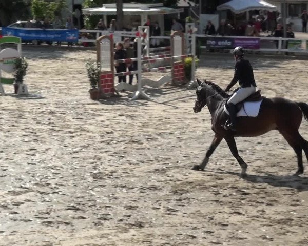 Reitturnier Köln-Seeberg 2019