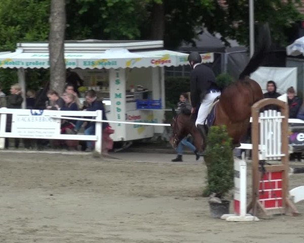 Reitturnier Köln-Seeberg 2019