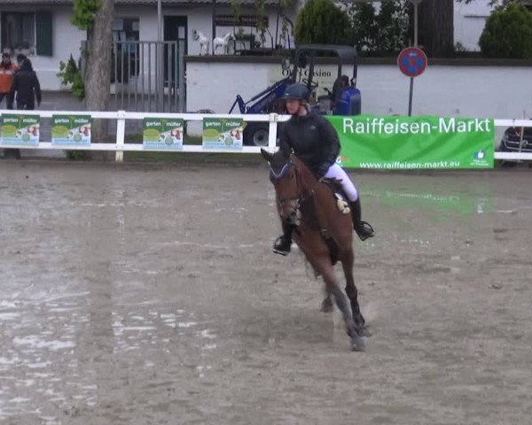 Reitturnier Köln-Seeberg 2019