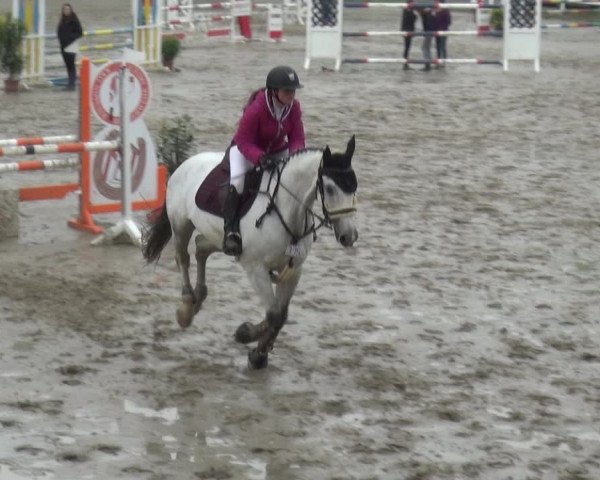 Reitturnier Köln-Seeberg 2019