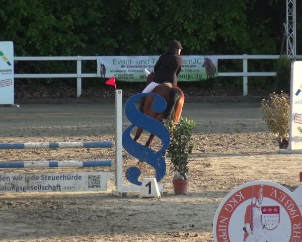 Reitturnier Köln-Seeberg 2019