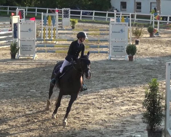 Reitturnier Köln-Seeberg 2019