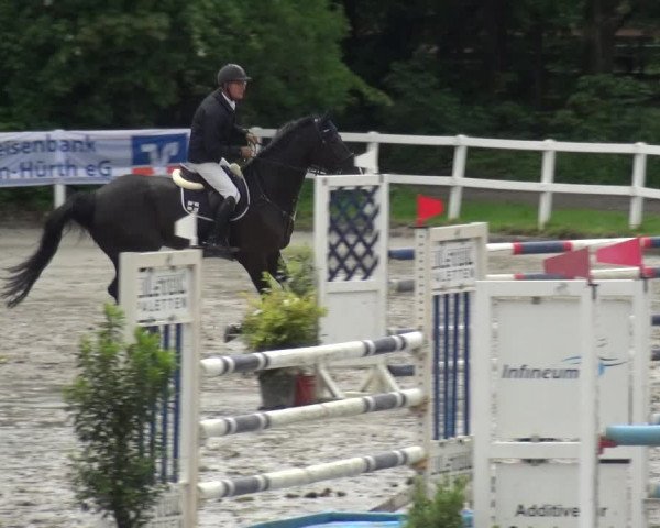 Reitturnier Köln-Seeberg 2019