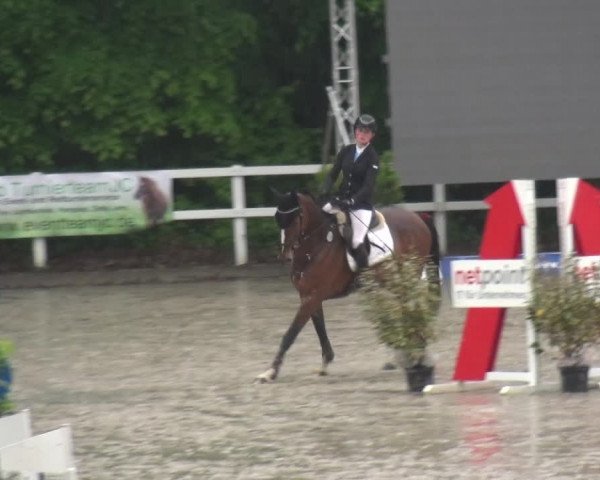 Reitturnier Köln-Seeberg 2019