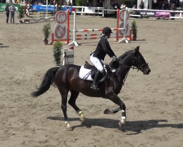 Reitturnier Köln-Seeberg 2019