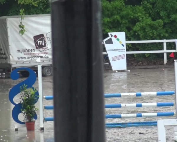 Reitturnier Köln-Seeberg 2019