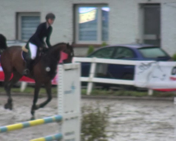 Reitturnier Köln-Seeberg 2019