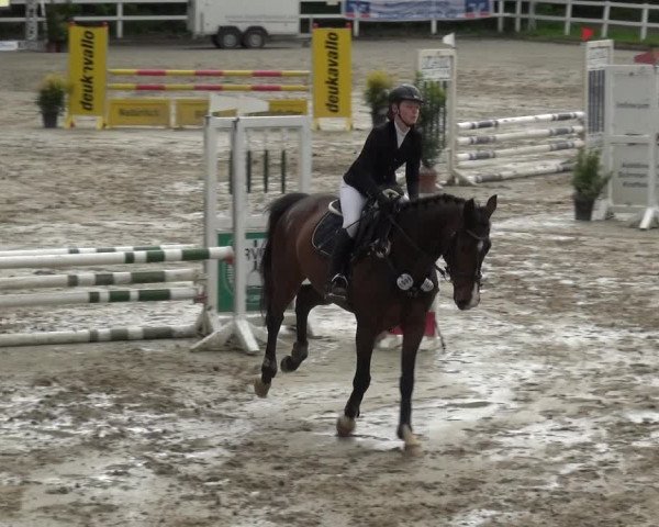 Reitturnier Köln-Seeberg 2019