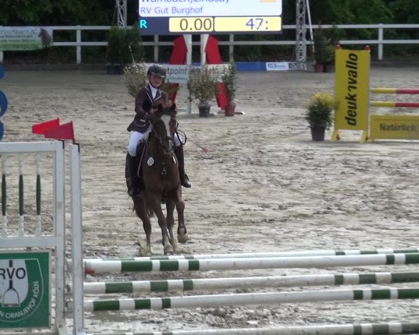 Reitturnier Köln-Seeberg 2019