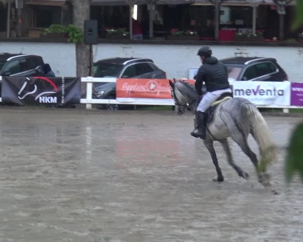 Reitturnier Köln-Seeberg 2019
