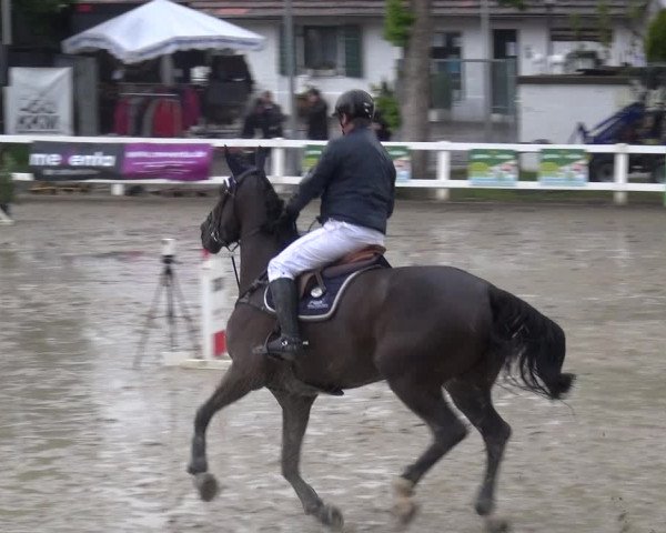 Reitturnier Köln-Seeberg 2019