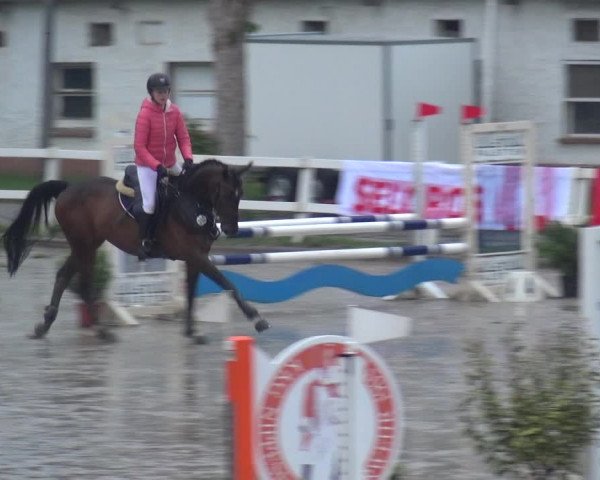 Reitturnier Köln-Seeberg 2019