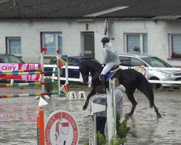 Reitturnier Köln-Seeberg 2019