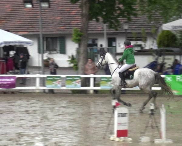 Reitturnier Köln-Seeberg 2019