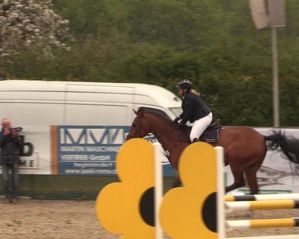 Reitturnier Langwedel - Hagen - Grinden 2019