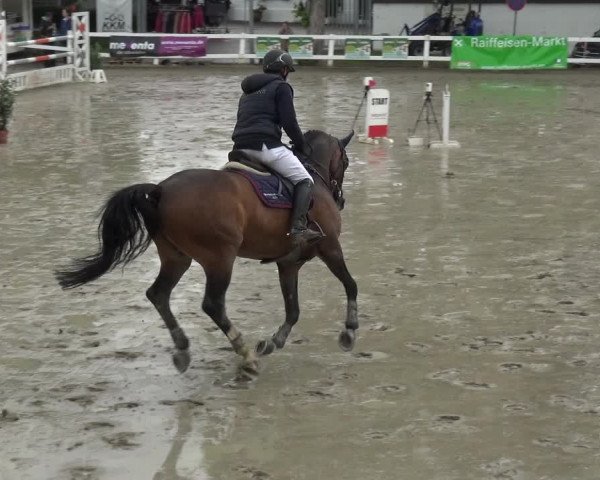 Reitturnier Köln-Seeberg 2019