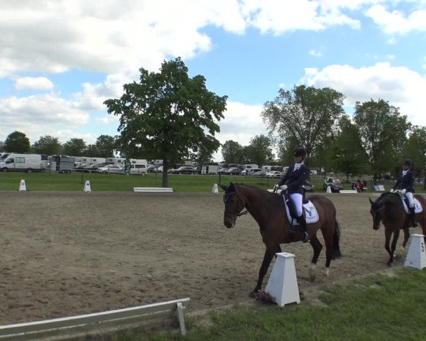 Reitturnier Ahlen 2019