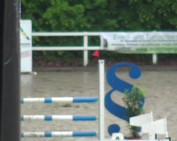 Reitturnier Köln-Seeberg 2019