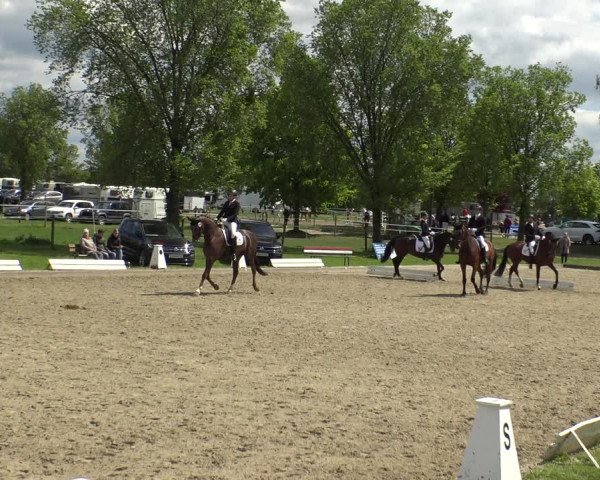 Reitturnier Ahlen 2019
