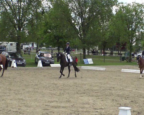 Reitturnier Ahlen 2019