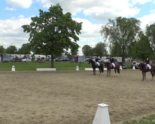 Reitturnier Ahlen 2019