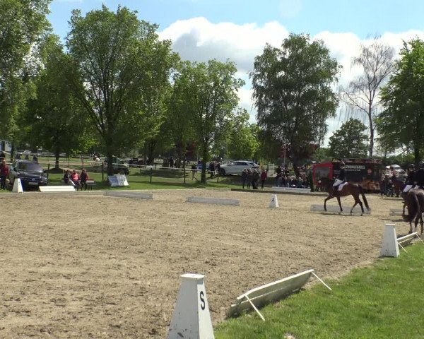 Reitturnier Ahlen 2019
