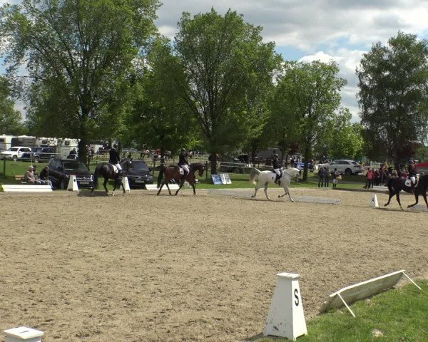 Reitturnier Ahlen 2019