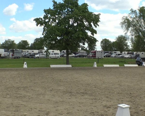 Reitturnier Ahlen 2019