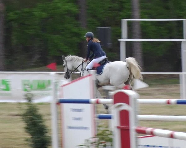 Reitturnier Schwanebeck 2019