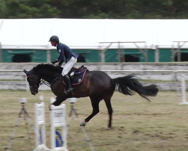 Reitturnier Schwanebeck 2019