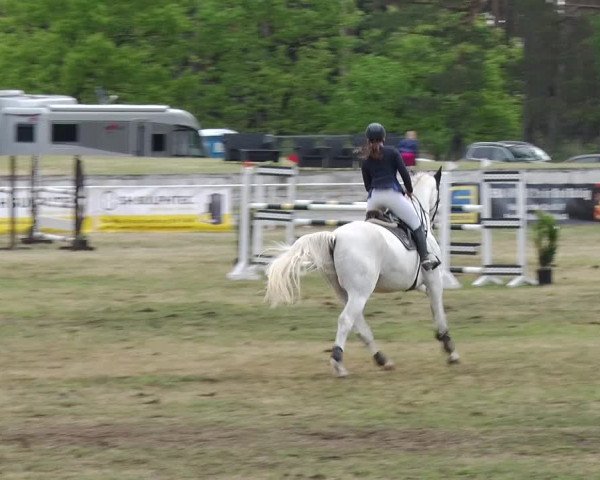 Reitturnier Schwanebeck 2019